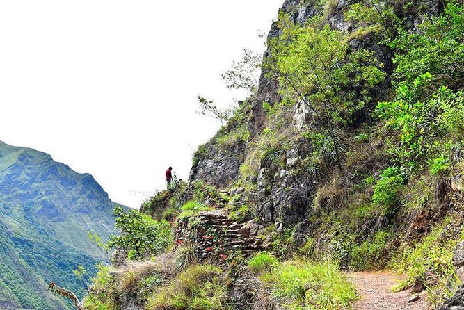 07 Day: Inca Jungle Adventure with Mountain Bike, Rafting, Zipline & Trek - Day 5: Walking through the Aobamba Valley to Aguas Calientes