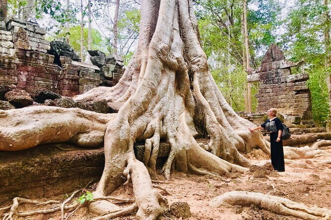 1-Day Angkor Wat Cycling Tour: Scenic Bike Adventure in Siem Reap - Ta Prohm and the jungle-temple setting