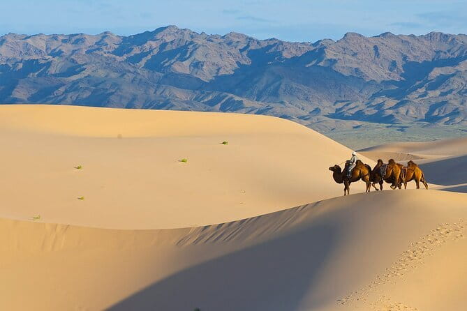 11 Day World Heritage Orkhon Valley National Park Cycling Tour - Days 10 and 11: Returning to Ulaanbaatar