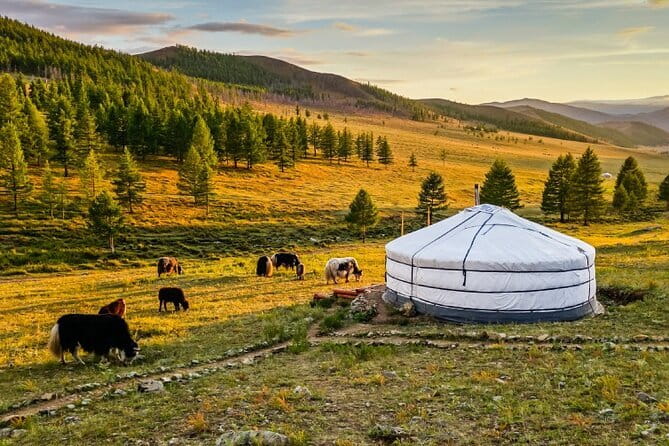 11 Day World Heritage Orkhon Valley National Park Cycling Tour - What the $2,935 price really covers