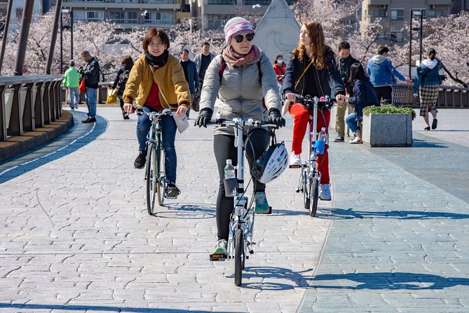 2.5 Hour-Guided Cycle Tour in the Central Tokyo - What the $50.08 price gets you
