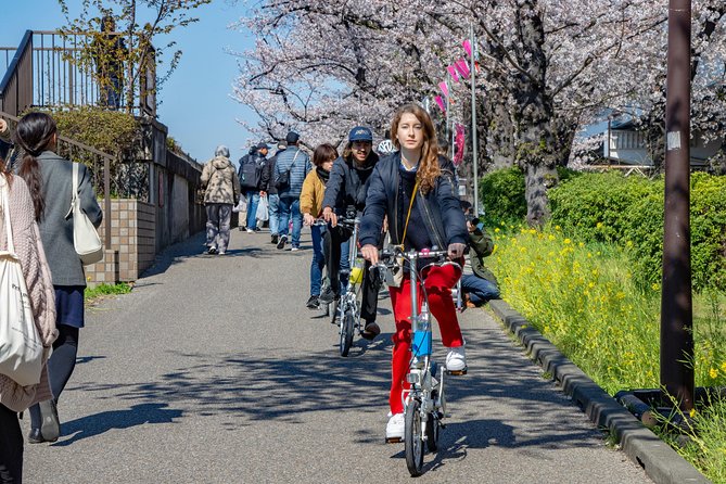 2.5 Hour-Guided Cycle Tour in the Central Tokyo - Honryuin Matsuchiyama Shoden and its unusual symbols