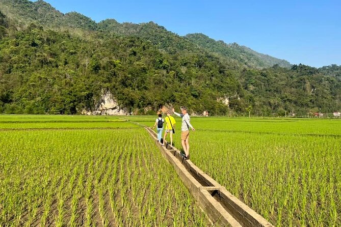 2-Day Ba Be Lake With Boat Trip, Swimming, Kayaking And Cycling - Lunch and homestay arrival at Ba Be Lake