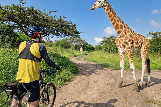 2 Days Cycling Safari To Lake Mburo National Park - Why Lake Mburo works so well for a cycling safari