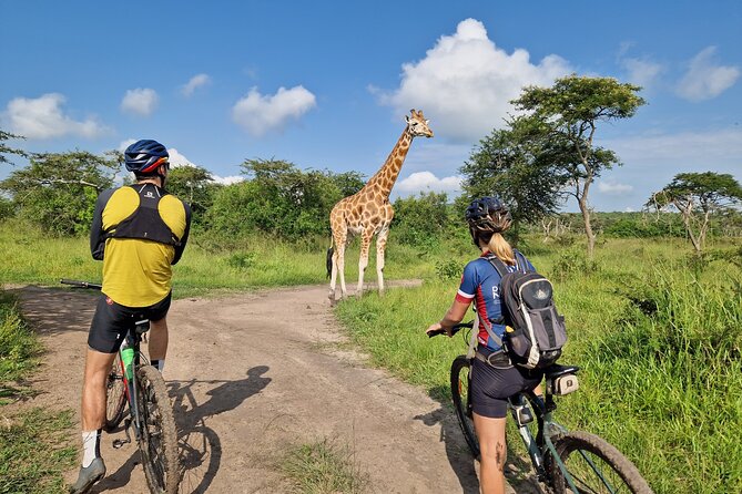 2 Days Cycling Safari To Lake Mburo National Park - Two rides, with the park outing as the main event