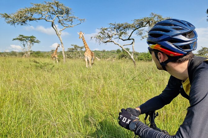 2 Days Cycling Safari To Lake Mburo National Park - What the wildlife viewing is really like