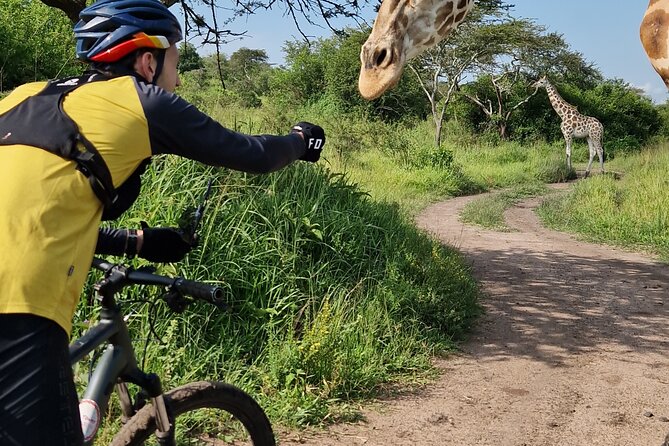 2 Days Cycling Safari To Lake Mburo National Park - The night safari is an optional second act