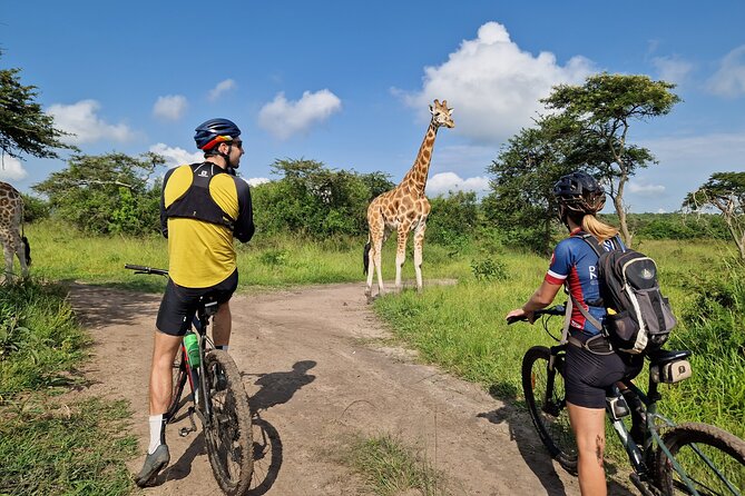 2 Days Cycling Safari To Lake Mburo National Park - Accommodation, meals, and what the price covers
