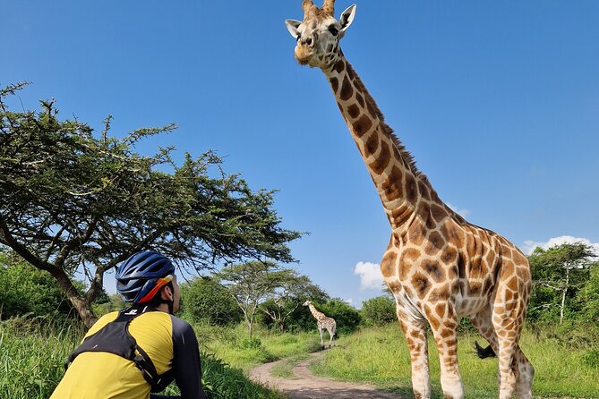 2 Days Cycling Safari To Lake Mburo National Park - Who will enjoy this most