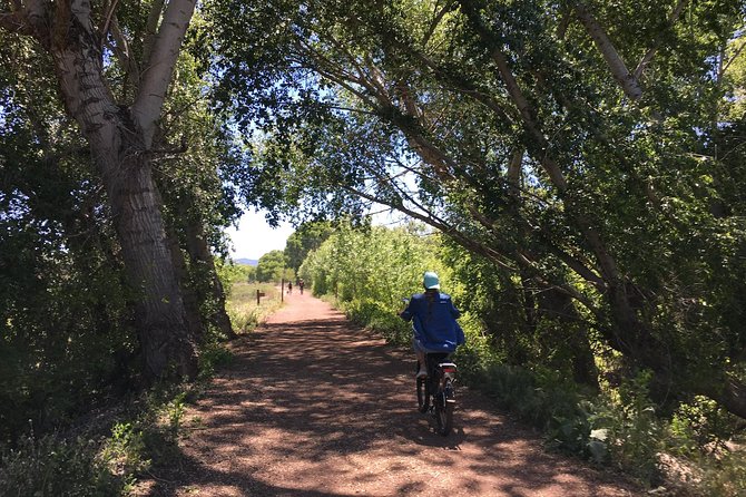 2 Hour E bike Ride at The Peavine Trail (Popular) - Show up, learn the controls, and set your own pace