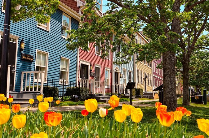 2 Hour E-bike tour of Charlottetown - A practical way to fit it into your day