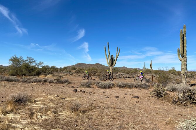 2 Hour Sonoran Desert Private Guided Mountain Bike Tour - Front suspension, disc brakes, and the supplied gear