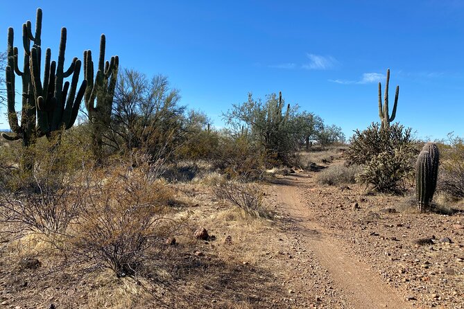 2 Hour Sonoran Desert Private Guided Mountain Bike Tour - Is $115 per person a fair price?