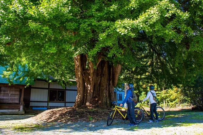 3 Hour Cycling Tour in Kakunodate - Practical points before you book