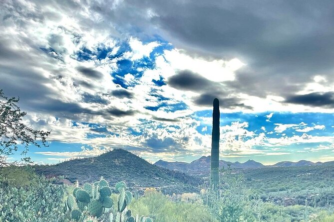 3 Hour Sonoran Desert Private Guided Mountain Bike Tour - Why this Scottsdale ride feels personal