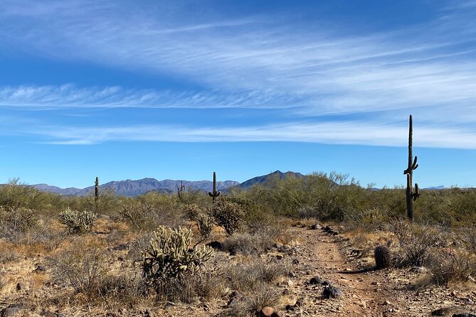 3 Hour Sonoran Desert Private Guided Mountain Bike Tour - Riding among cacti and mountain views