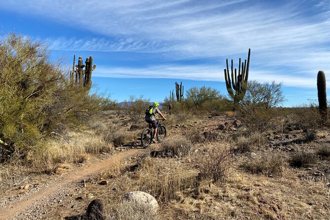 3 Hour Sonoran Desert Private Guided Mountain Bike Tour - Desert plants, rocks, and a sense of place