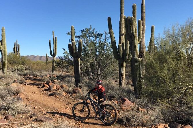 3 Hour Sonoran Desert Private Guided Mountain Bike Tour - Meeting at 28777 N Pima Road