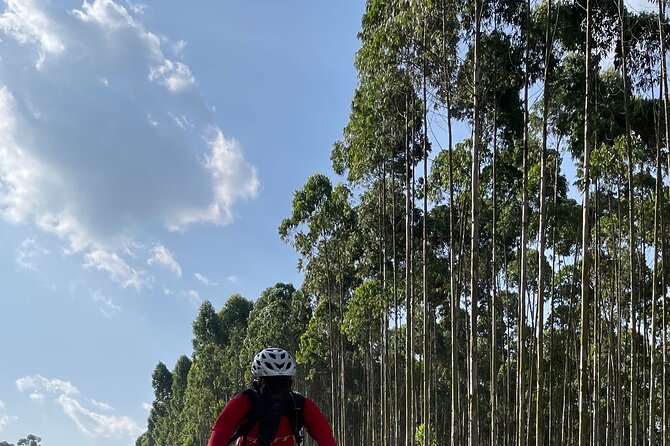3 Hours Guided Cycling Tour Across Lake Victoria - Lake views, village life, and pauses along the way