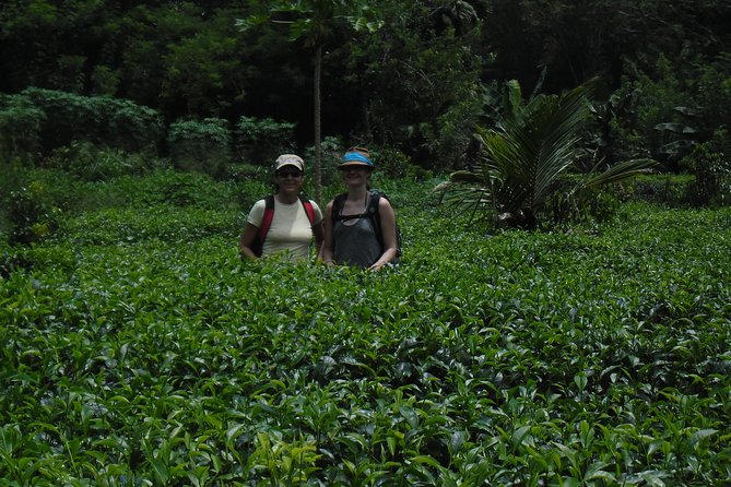35km E bike Bike Day Tour in Galle - Walking through rainforest to the river