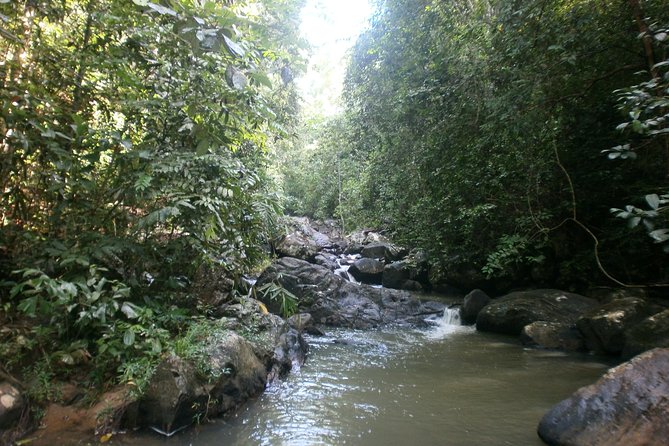 35km E bike Bike Day Tour in Galle - Tea country and a king coconut near Akuressa