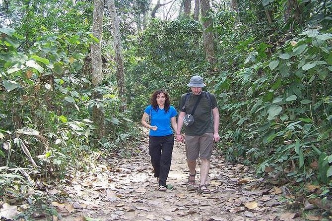 4-Days Srimangal Adventure Tour with Cycling Excursion - Day two: Lawachara forest and Khashia village