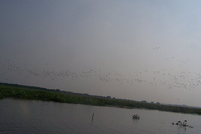 4-Days Srimangal Adventure Tour with Cycling Excursion - Day four: the return to Dhaka