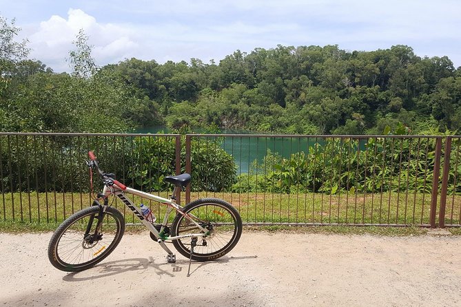 4 Hours Cycling in the Nature at Pulau Ubin Singapore - Chek Jawa, beaches, and coastal forest