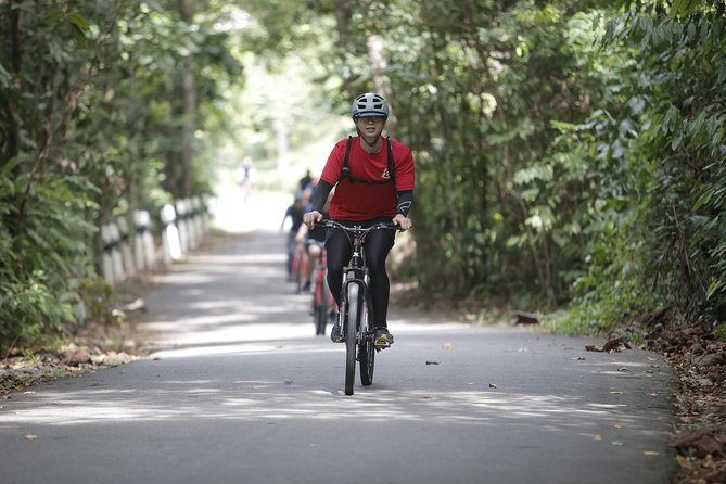 4 Hours Cycling in the Nature at Pulau Ubin Singapore - Choosing between the western and eastern routes