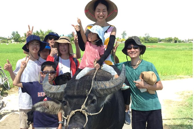 5-Hour Discovery Countryside by Cycling, Buffalo and Basket Boat - From Hoi An’s streets to Cam Thanh’s country roads