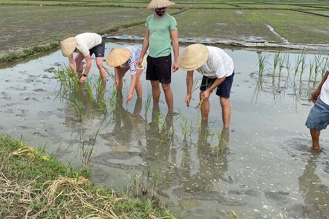 5-Hour Discovery Countryside by Cycling, Buffalo and Basket Boat - Who will enjoy this Hoi An outing?