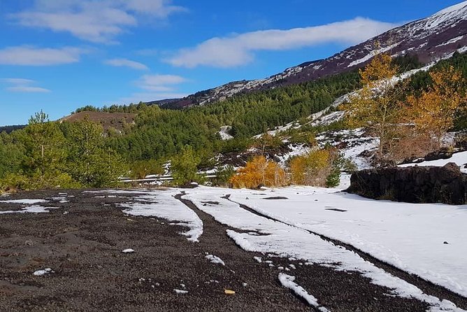 5-Hour Mount Etna Mountain Biking Tour - Is $115.76 a fair price?