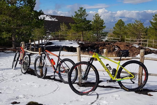 5-Hour Mount Etna Mountain Biking Tour - From Milia to the Altomontana track