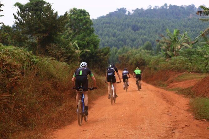 7 Hours Guided Cycling Tour to Sezibwa Waterfalls - Key points to know before booking