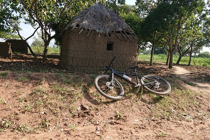 7 Hours Guided Cycling Tour to Sezibwa Waterfalls - Tea farms, sugarcane, and the everyday countryside