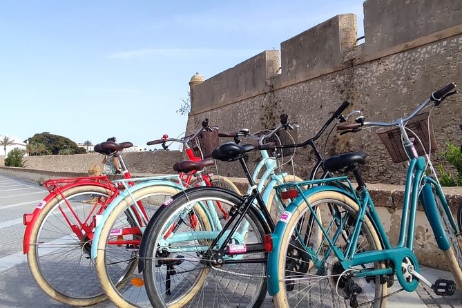 A private stroll cycling around Cádiz + bike rental - Alameda Apodaca and the big old tree