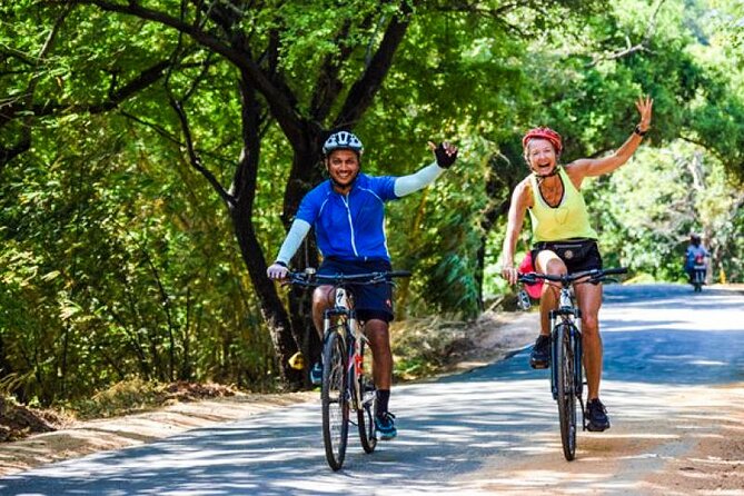 Adventure Cycling from Galle - The king coconut stop