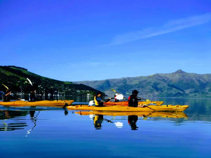 Akaroa: Electric Mountain Bike and Sea Kayak Adventure - From the road to the Akaroa marine reserve