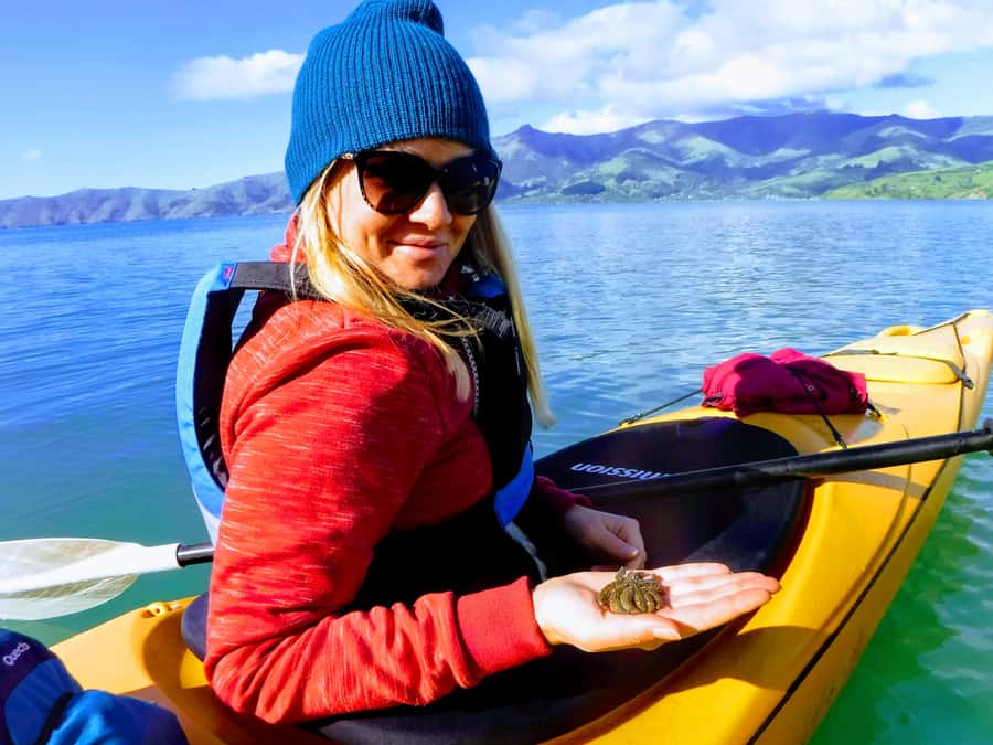 Akaroa: Electric Mountain Bike and Sea Kayak Adventure - What the $164 price really includes