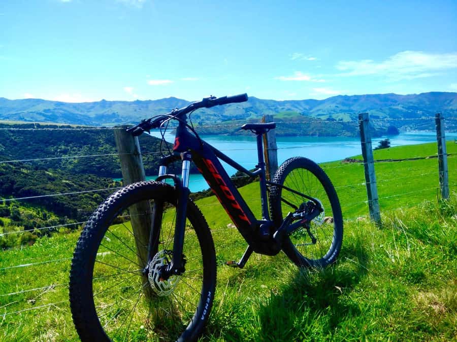 Akaroa Explorer: Guided Electric Mountain Bike Tour - Flat roads first, then Akaroa’s hills