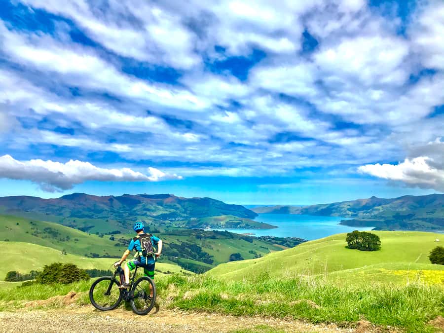 Akaroa Explorer: Guided Electric Mountain Bike Tour - Akaroa Lighthouse and cultural sites