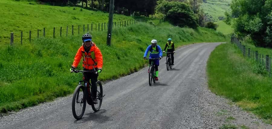 Akaroa Explorer: Guided Electric Mountain Bike Tour - Price, group size, and overall value