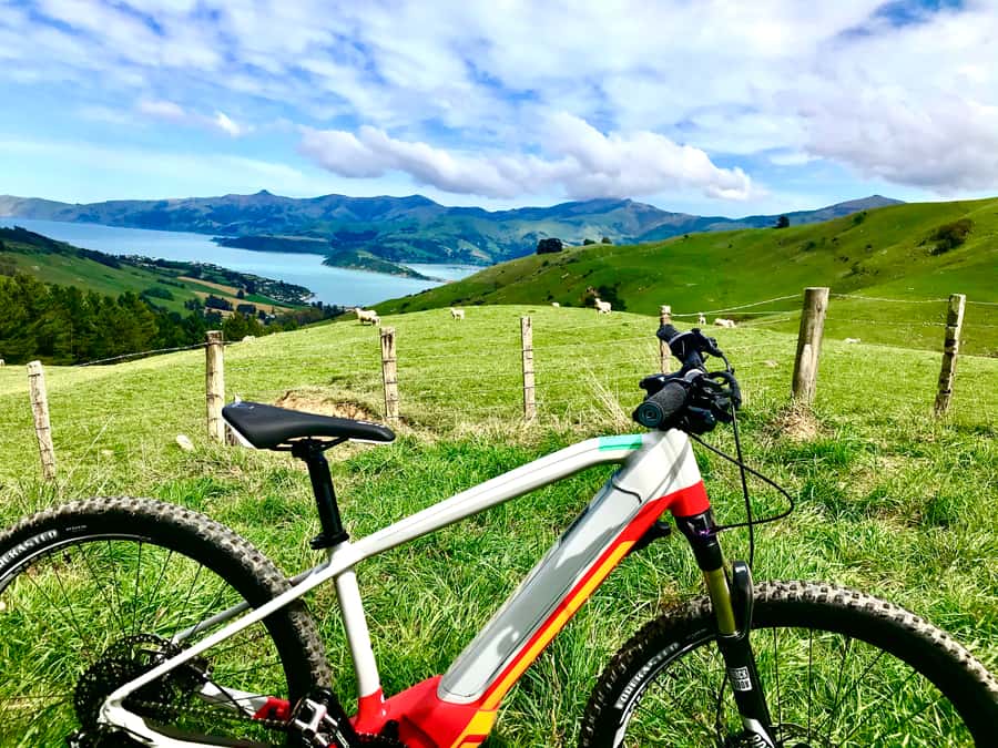 Akaroa Explorer: Guided Electric Mountain Bike Tour - Who should book this Akaroa bike tour?