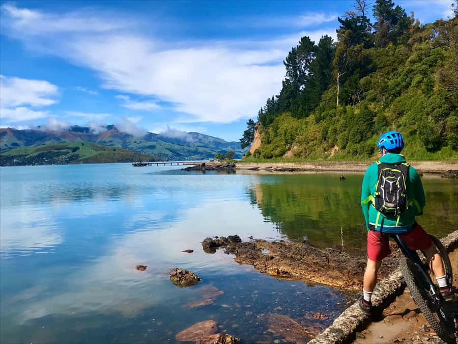 Akaroa Explorer: Guided Electric Mountain Bike Tour - Should you book it?