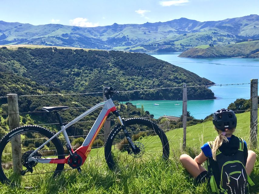 Akaroa: Guided Electric Mountain Bike Tour-Lava Loop - What the guides add to the ride