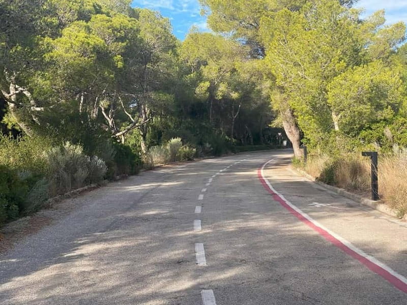 Albufera Bike Adventure: Wetlands, Beaches & Biodiversity - Key points to know