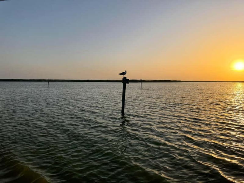 Albufera Bike Adventure: Wetlands, Beaches & Biodiversity - From Ruzafa to the Albufera wetlands