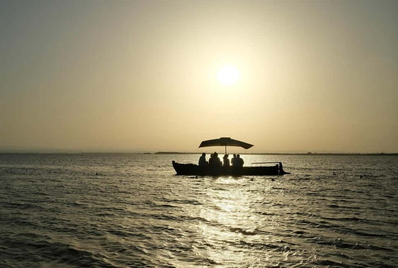 Albufera Bike Adventure: Wetlands, Beaches & Biodiversity - La Garrofera’s pine woods and El Saler’s dunes