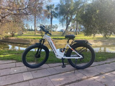 Albufera Bike Adventure: Wetlands, Beaches & Biodiversity