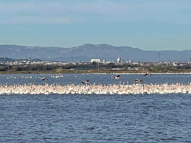 Albufera Bike Adventure: Wetlands, Beaches & Biodiversity - Racó de l’Olla and the choice between lunch and a boat